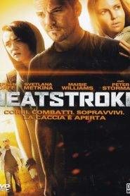 Heatstroke