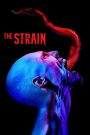 The Strain