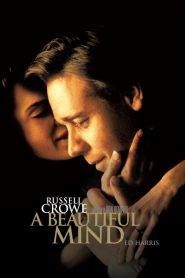 A Beautiful Mind