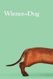 Wiener-Dog