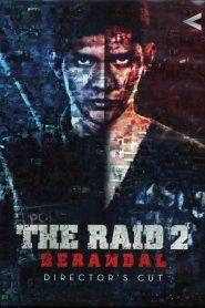 The Raid 2: Berandal