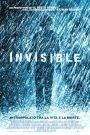 Invisible