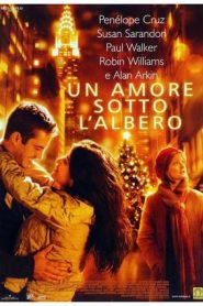 Un amore sotto l’albero