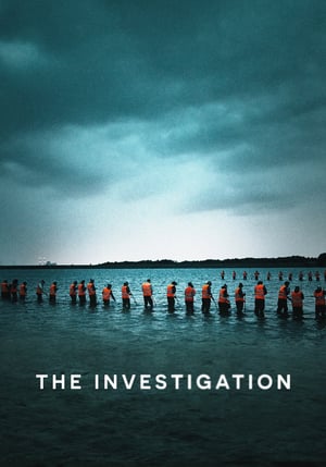 The Investigation