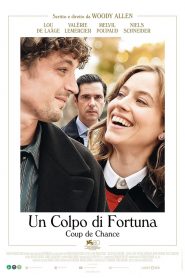 Un colpo di fortuna